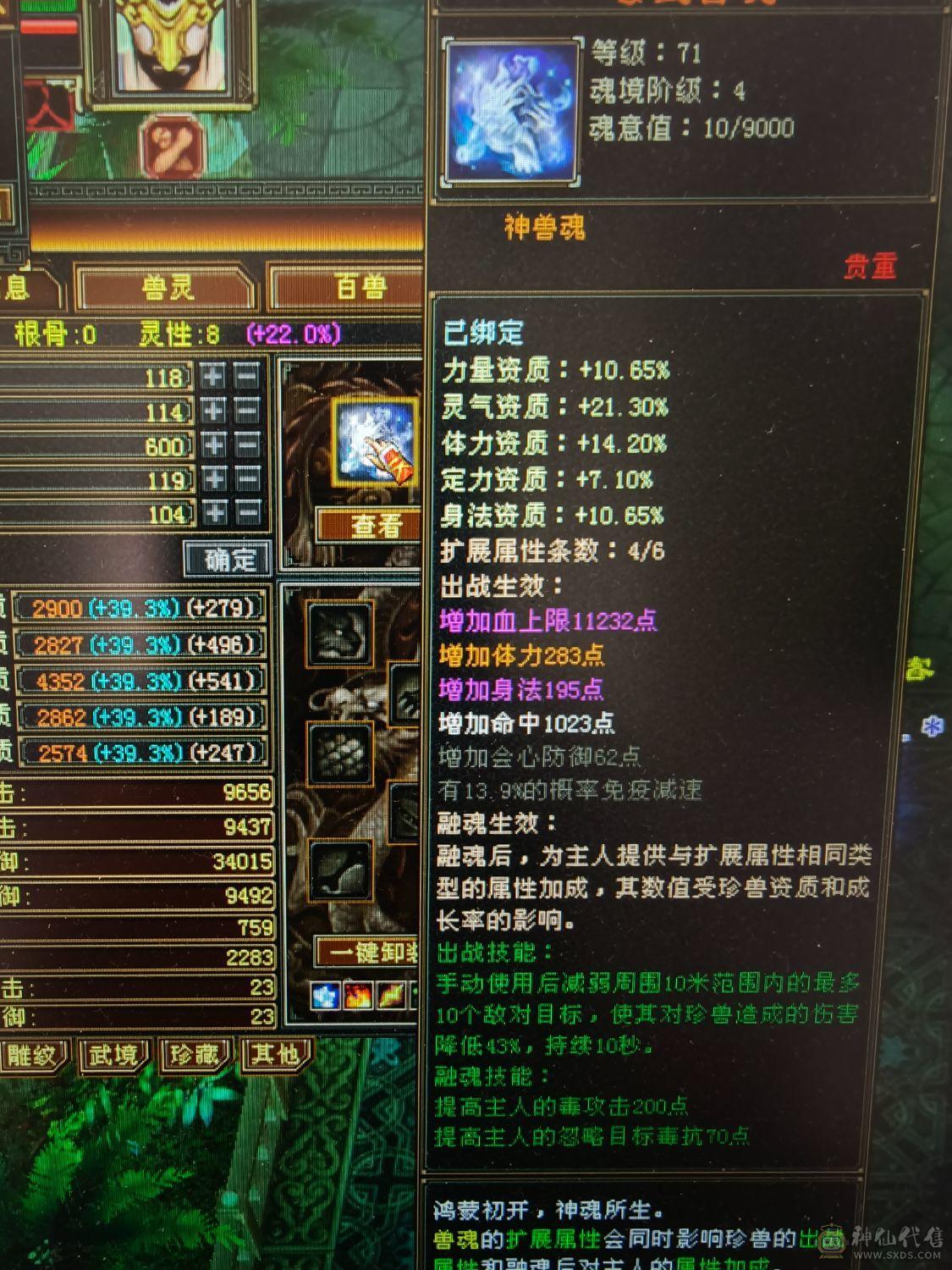 5体5属老体雕7级裸面板39.5万血，主属5360，副属1037