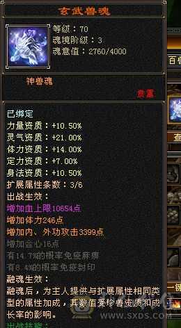 极品装备，极品宝宝带兽灵，极品灵武。上手就可玩