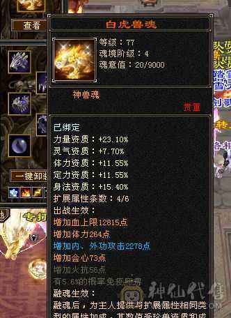 低价卖了换个6体峨眉，全满5级增伤拉满内功流漂亮曼陀