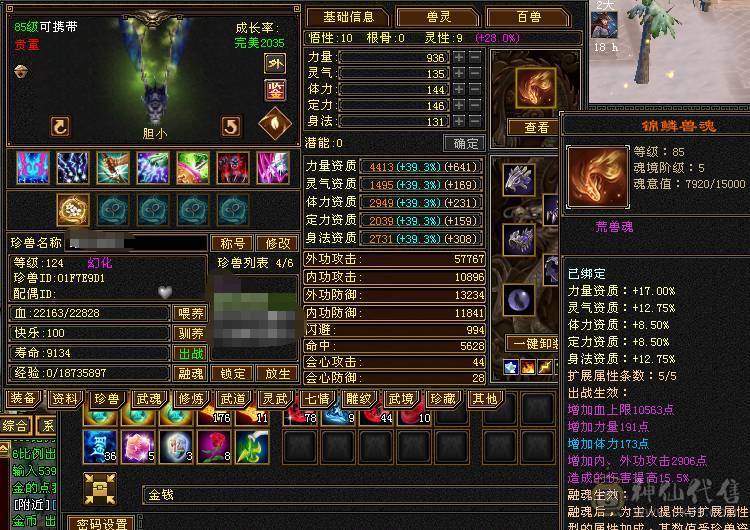 就卖个天花板项链，带5级小天山