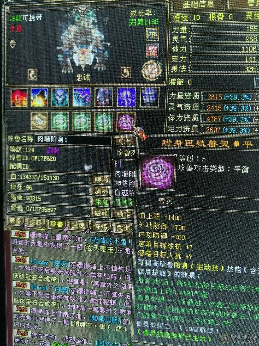 带所有，宝宝价值5000