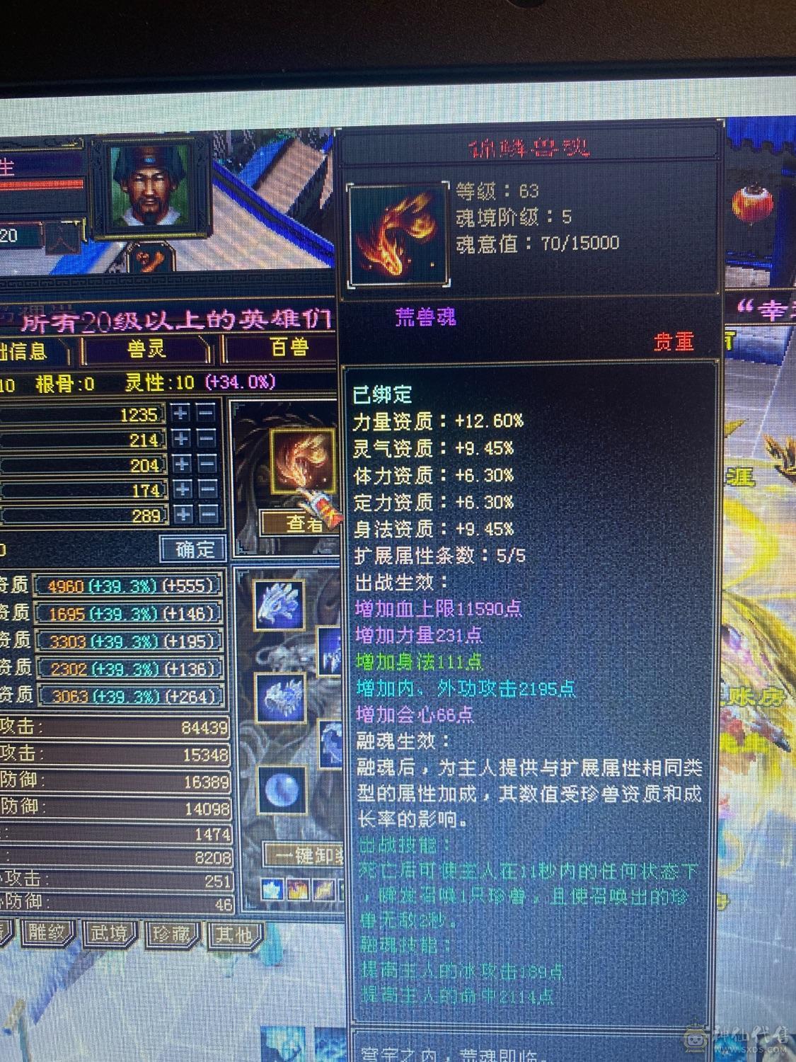 精品五周年全套 金乌坐骑无精华  