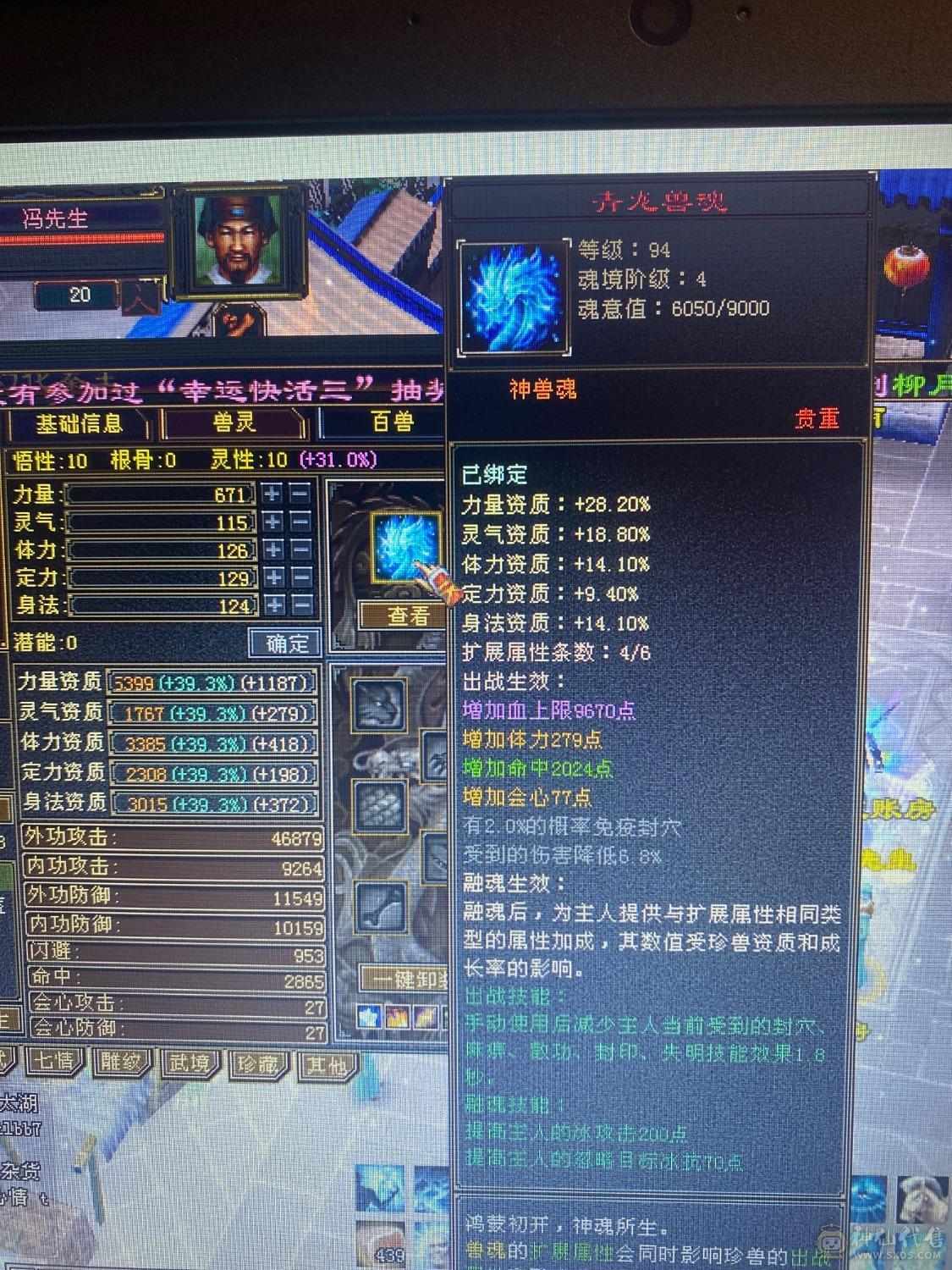 精品五周年全套 金乌坐骑无精华  
