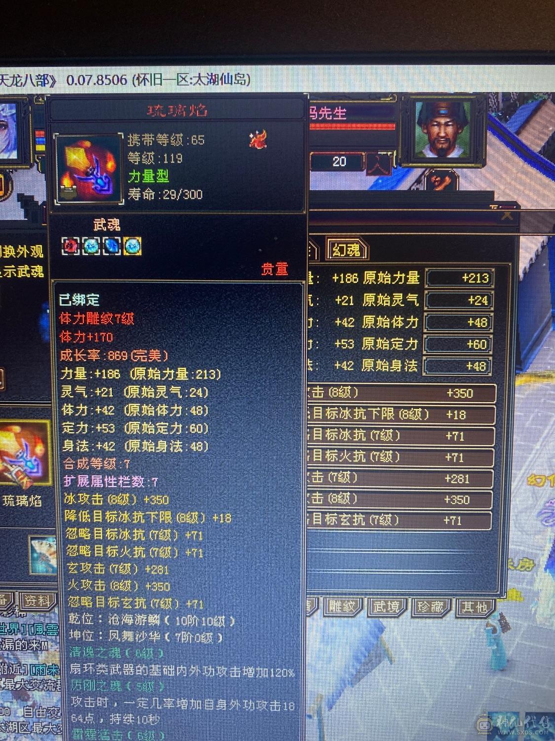 精品五周年全套 金乌坐骑无精华  