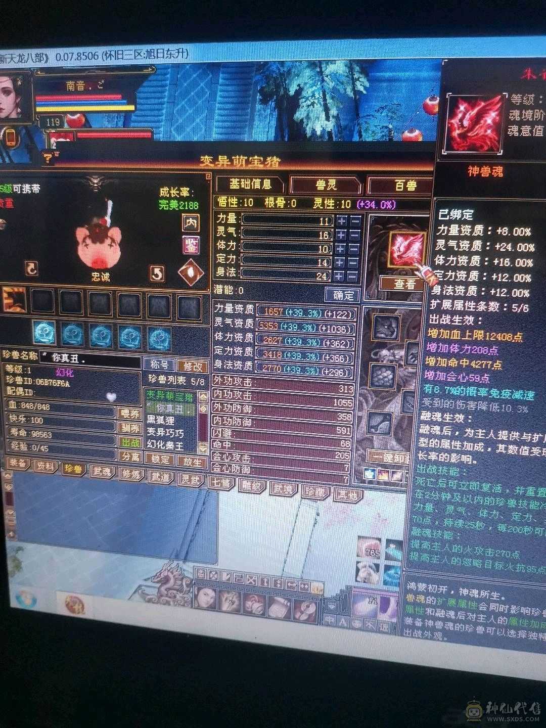 5神，骨翼，时装，金箍棒，5级逍遥，双盟会10-9