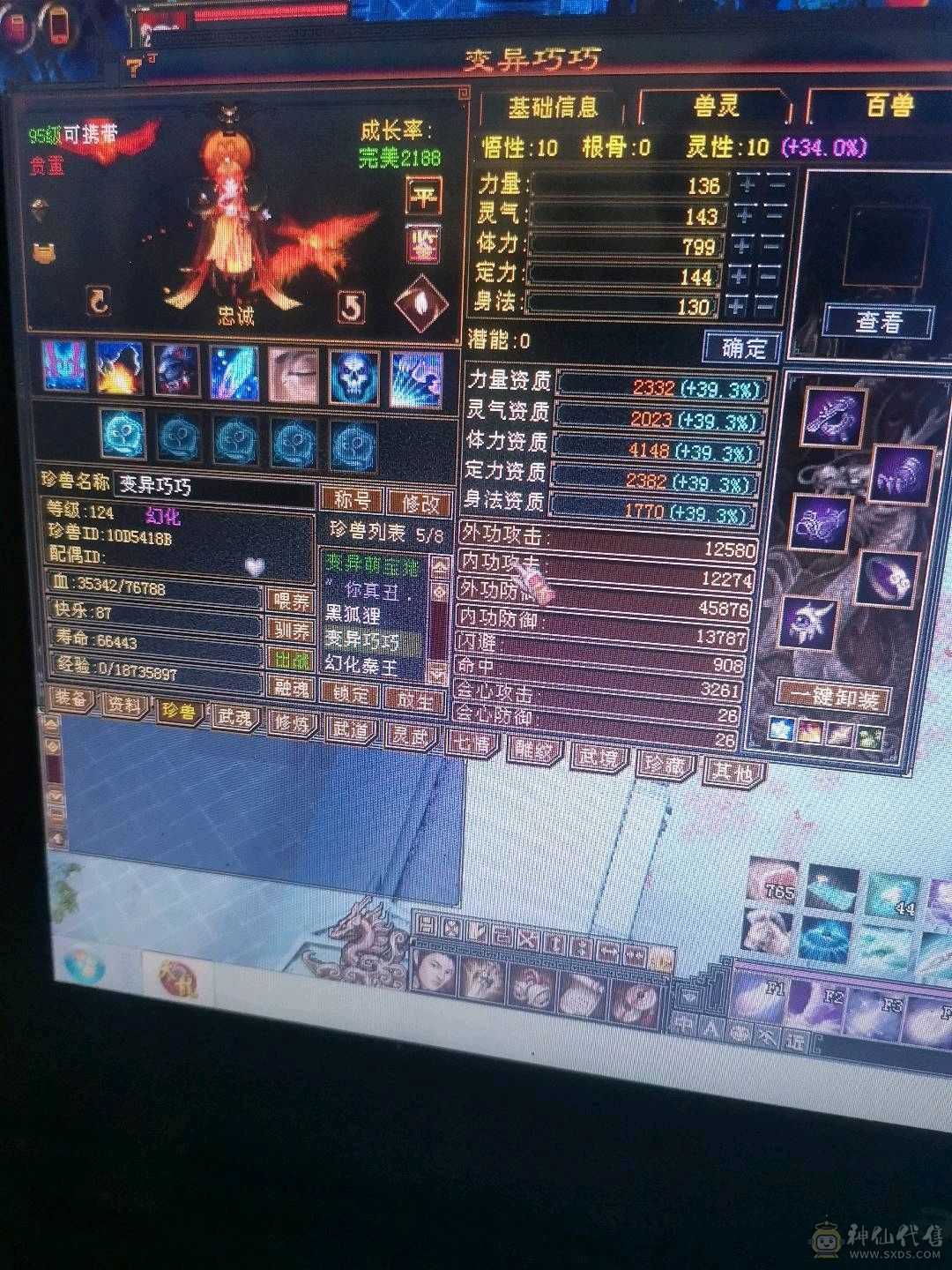 5神，骨翼，时装，金箍棒，5级逍遥，双盟会10-9