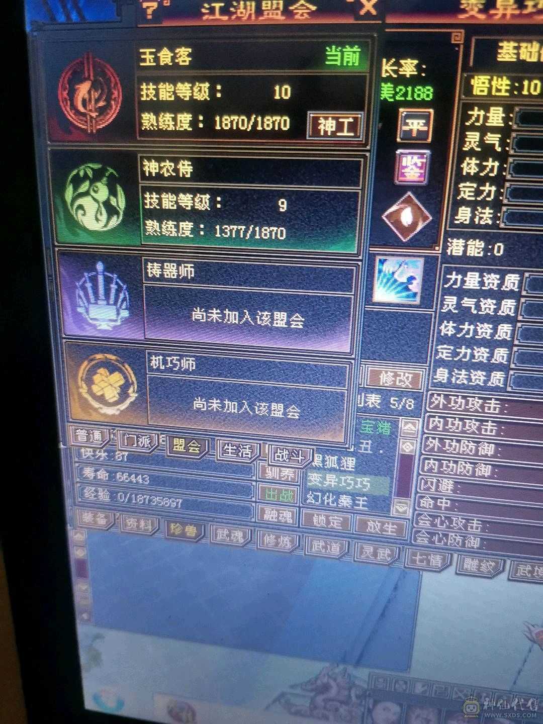 5神，骨翼，时装，金箍棒，5级逍遥，双盟会10-9