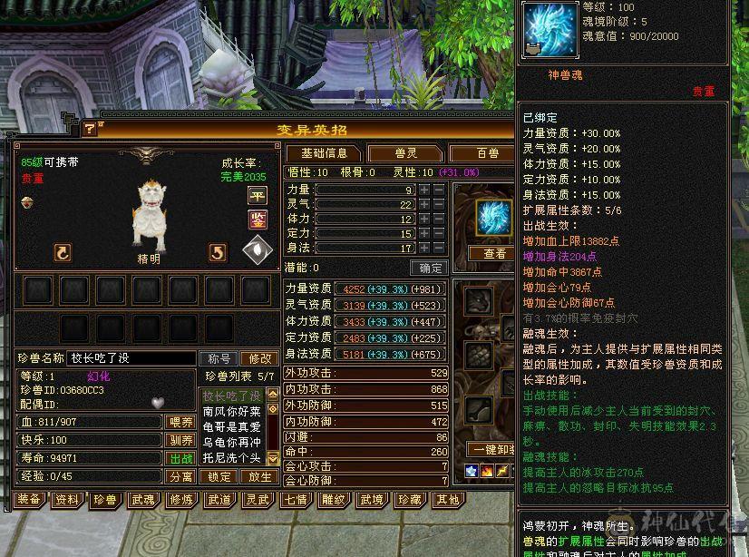 移动粉丝团：88极限五级天山 五神 带极品05 带4510映照附体 PK宝宝全带