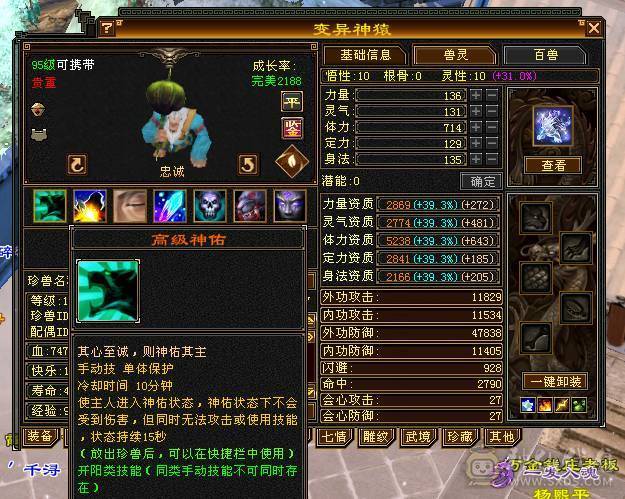 移动粉丝团：极品5.5.五级极限伤害，三修.三满.7.8雕.高血.高内.高会.红仙侣.永久坐骑.幻视全部到位.48W+血.6.7W+内功.330+会心.裸面板（能秒电话）