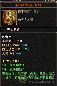 移动粉丝团：极品5.5.五级极限伤害，三修.三满.7.8雕.高血.高内.高会.红仙侣.永久坐骑.幻视全部到位.48W+血.6.7W+内功.330+会心.裸面板（能秒电话）