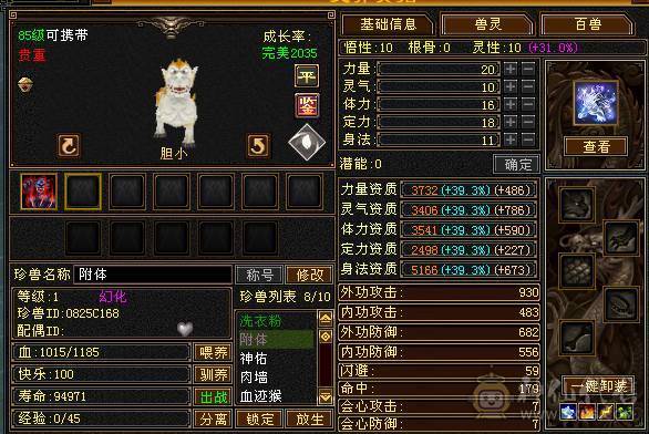 极限5级星宿逍遥  最强面板 细节拉满