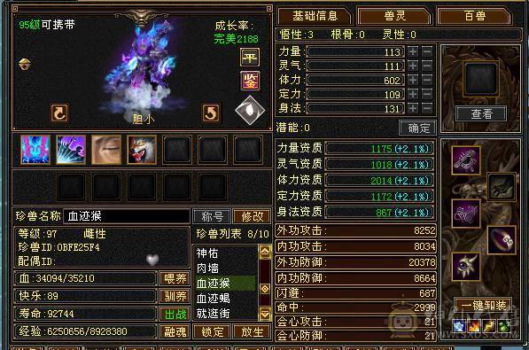 极限5级星宿逍遥  最强面板 细节拉满