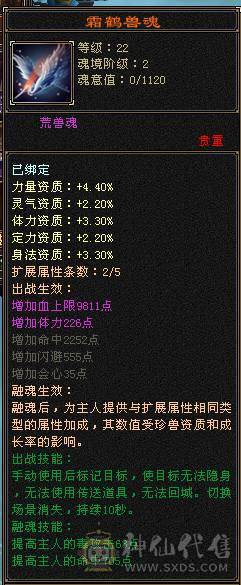 极限5级星宿逍遥  最强面板 细节拉满