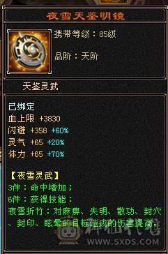 极限5级星宿逍遥  最强面板 细节拉满