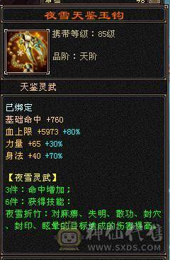 极限5级星宿逍遥  最强面板 细节拉满