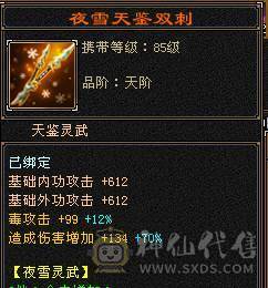 极限5级星宿逍遥  最强面板 细节拉满