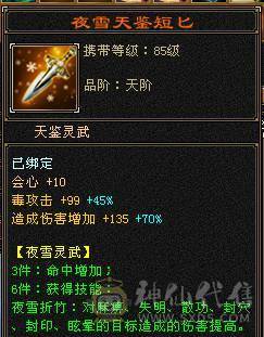 极限5级星宿逍遥  最强面板 细节拉满