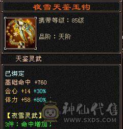 极限5级星宿逍遥  最强面板 细节拉满