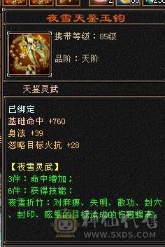 极限5级星宿逍遥  最强面板 细节拉满