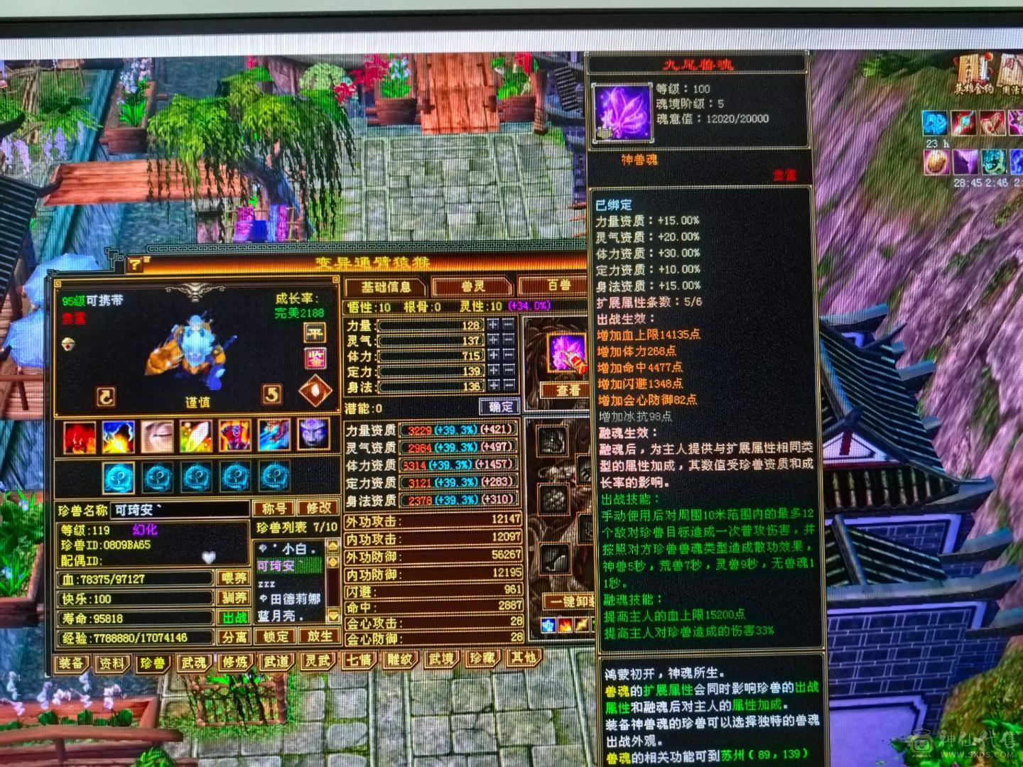 6体59w裸血裸冰抗1000+70多件时装