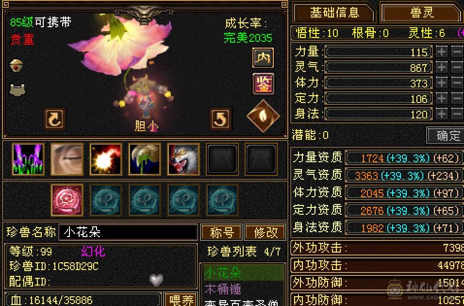 89卡级号带所有出，持续更新