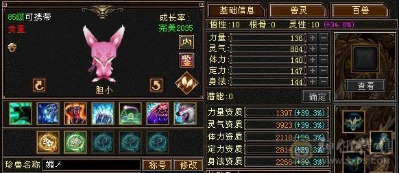带几只双10宝宝生活技能几乎全满