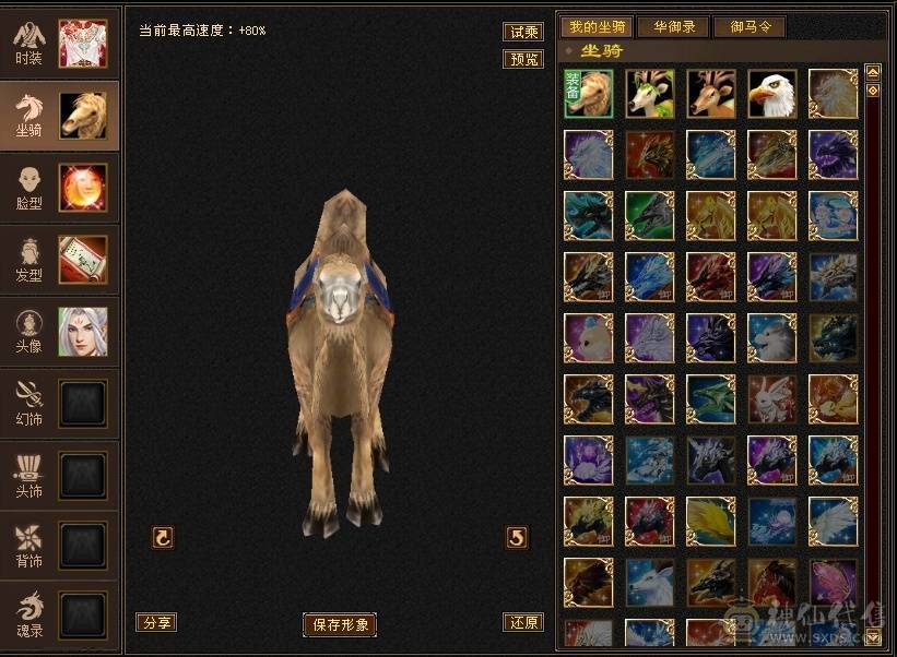 带几只双10宝宝生活技能几乎全满