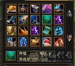 带几只双10宝宝生活技能几乎全满