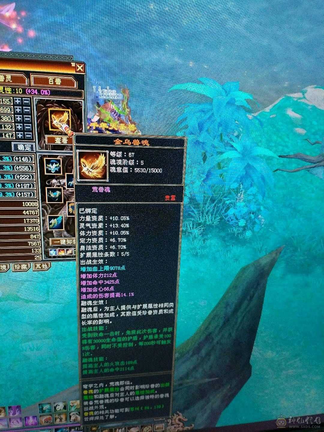 颜值卡级逍遥，带赤兔，两个双十宝宝