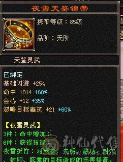 全6高属性。修炼顶，双十BB兽灵5，盟会双十永久时装