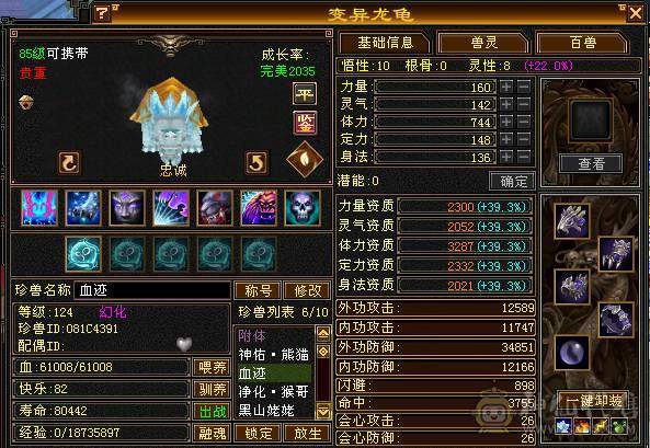 天下第一气气武当