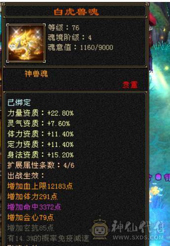 带50外功兽灵还有两个30级的体力兽灵