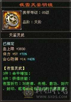 《野王铁粉》带50灵打架宝宝，强化满9，裸面板没加状态超越一般6级号