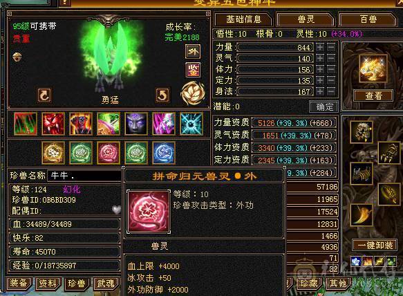 鲨鱼推荐 极品三修无敌丹满6星宿6神6减抗带乌骓 半身9雕 新雕文5带6