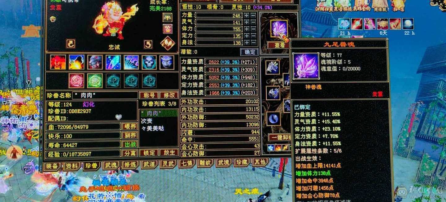 五十万血全能峨眉，能当打手能抗揍。少林克星