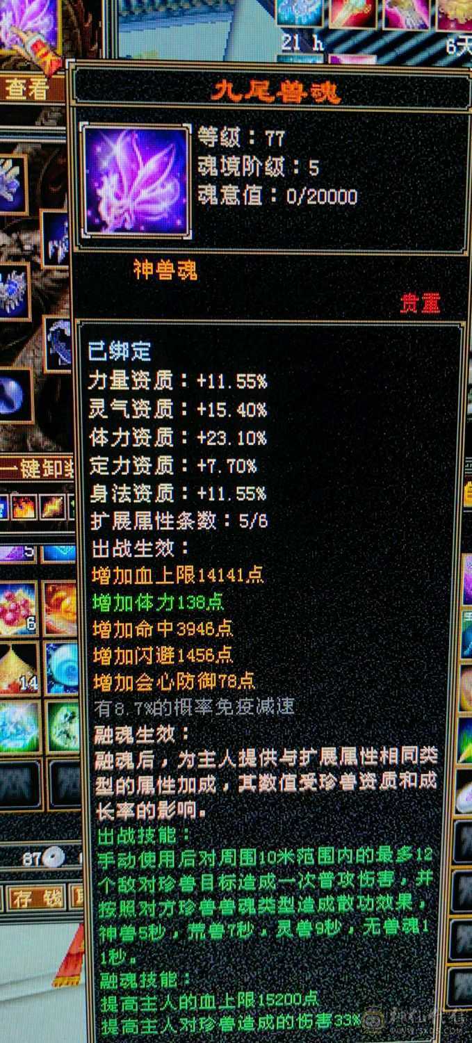 五十万血全能峨眉，能当打手能抗揍。少林克星