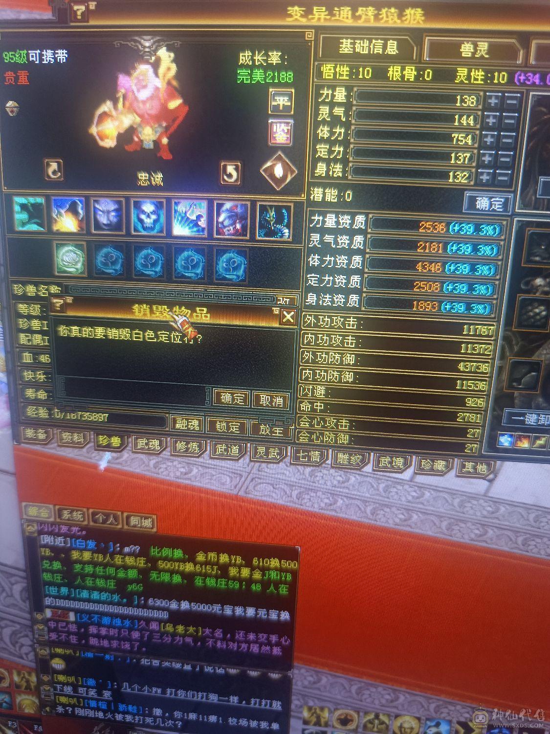 极品宝宝！退游全带 