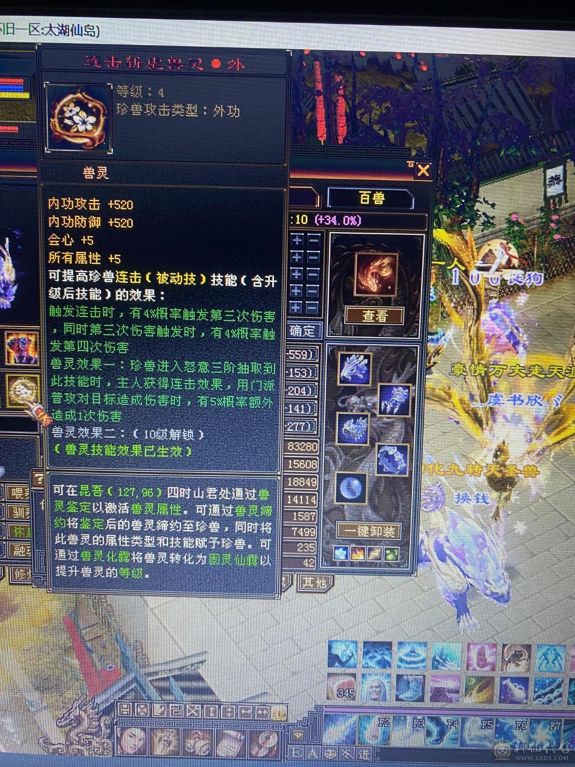 精品五周年全套 金乌坐骑无精华  