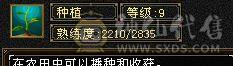 退游，火攻3146、140会心双修卡机，血量20万+，毒功500，七星、八星手工饰品