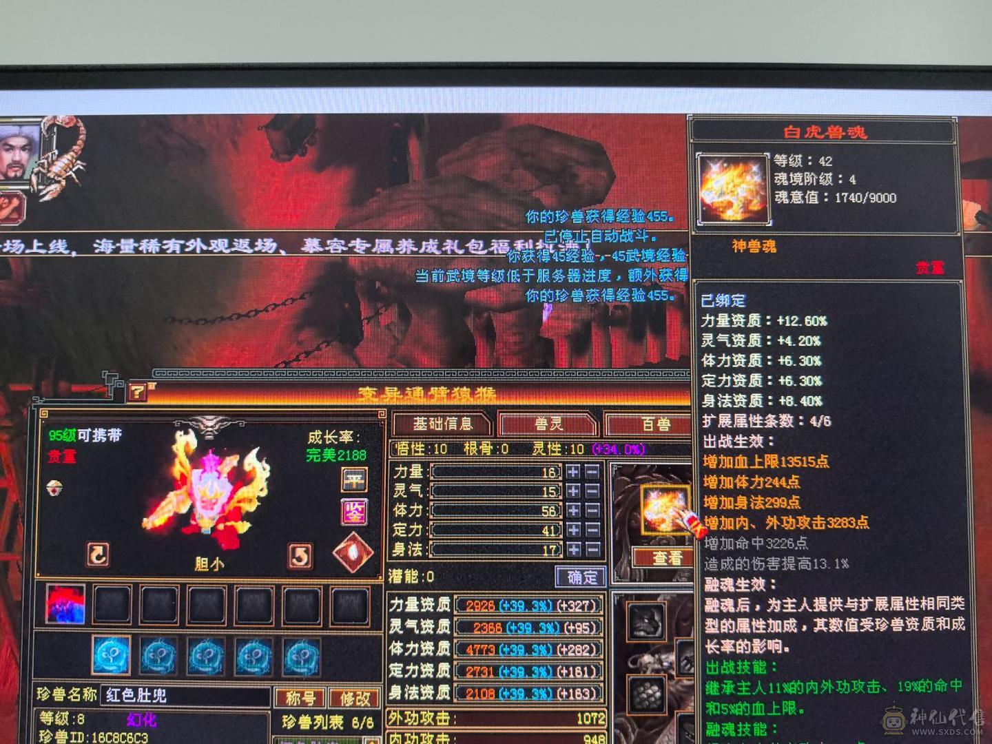 🈵6体6属8雕 秒价！！