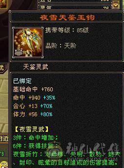 鲨鱼推荐：极限7666天山三修总属性1.1W 没吃任何药裸属性面板！6神 带骨翼