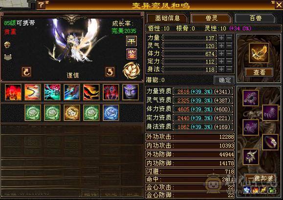  🍦星冰乐推荐 🍦：【满5明教，单挑无敌】