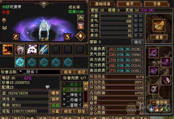 🥇微风推荐🥇   精品6555双修逍遥 高命中 大完美武魂   带红熊王坐骑  还有一条粉色龙君  截图裸面板 所见即所得