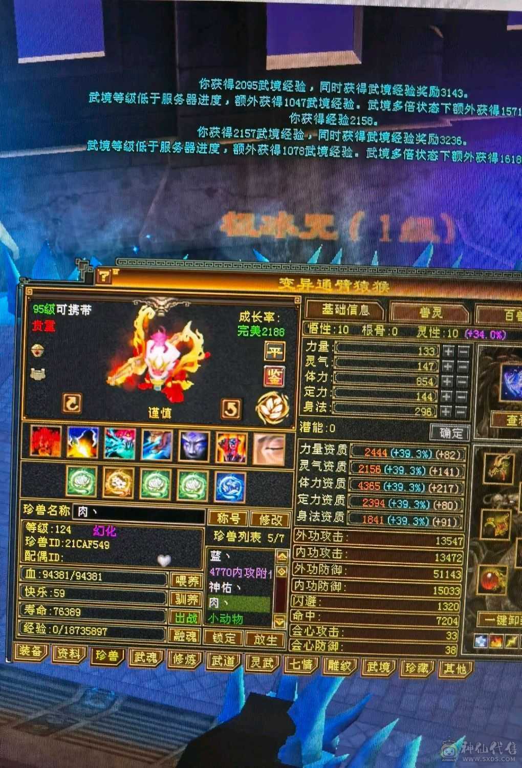 极限6级满心法满修炼高会心高命中和闪避，打架爽的很