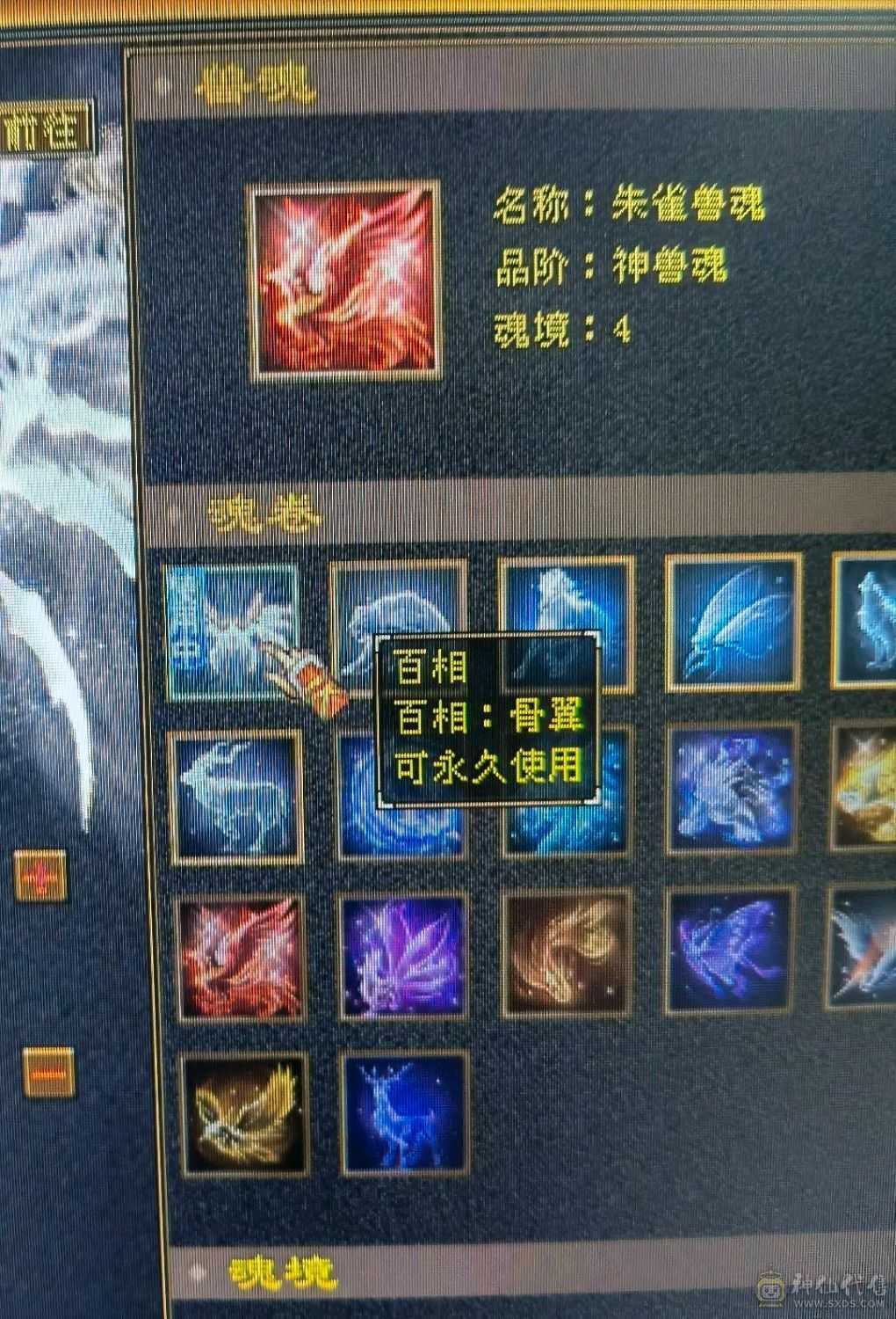 极限6级满心法满修炼高会心高命中和闪避，打架爽的很