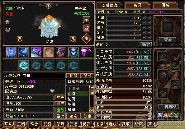 小极限6级天山 64W血 三杂抗 坐骑多 时装多 伤害高