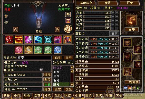 小极限6级天山 64W血 三杂抗 坐骑多 时装多 伤害高