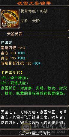 小极限6级天山 64W血 三杂抗 坐骑多 时装多 伤害高