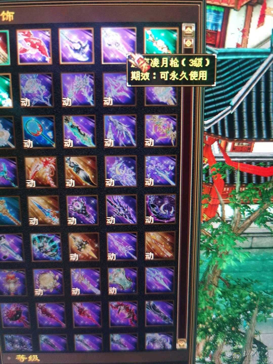 米久推荐   尊贵的金色地宫马 带断桥 夜雨等稀有时装 外观拉满  带骨翼 诚出可聊