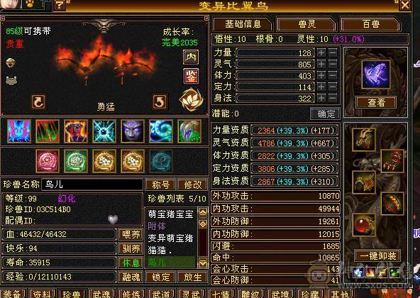 快乐推荐——赤兔马时装多多，满5减16颗6级，三修精致面板，7-8雕纹，满8星的装备大完美武魂，五阶神兽，大部分6级号都可以秒，细节暴力武当！